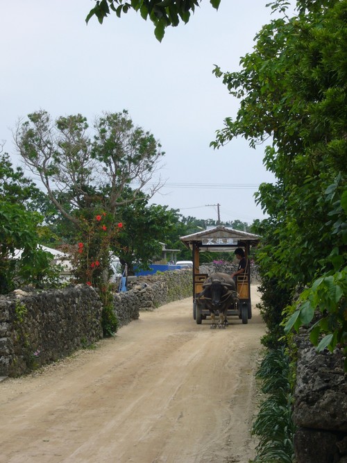 八重山病治療