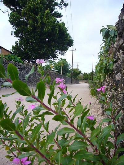 お花の気持ち