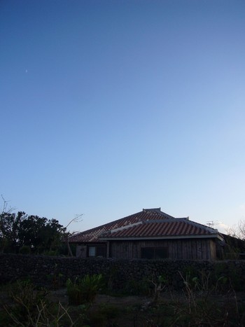 大根のお味噌汁