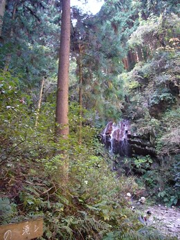 健康登山