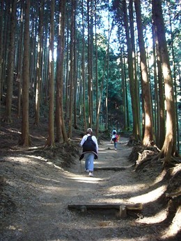 健康登山