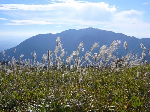 健康登山