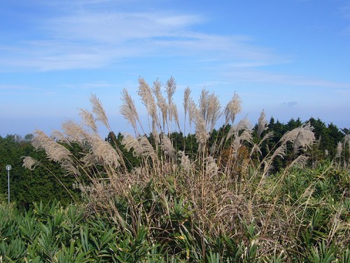 健康登山