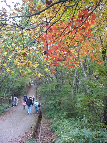 健康登山