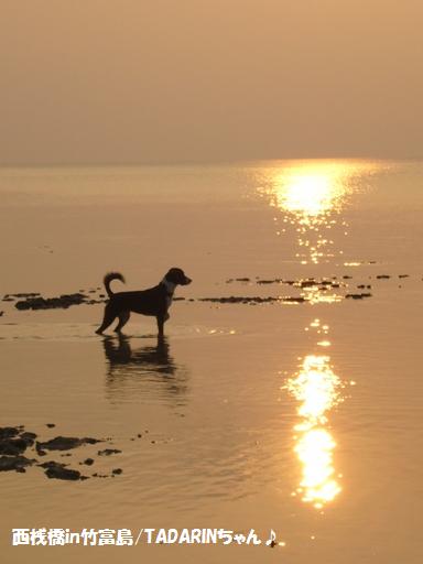 西桟橋in竹富島（夕陽編）　