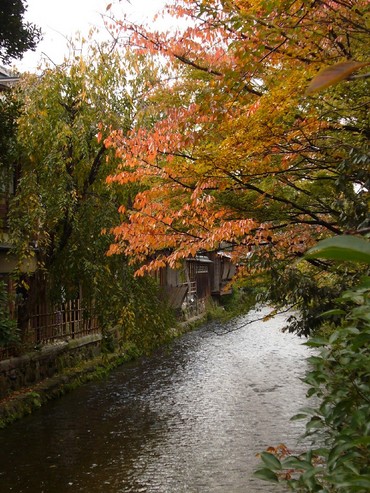 京都紅葉物語