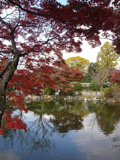 京都紅葉物語　Part3