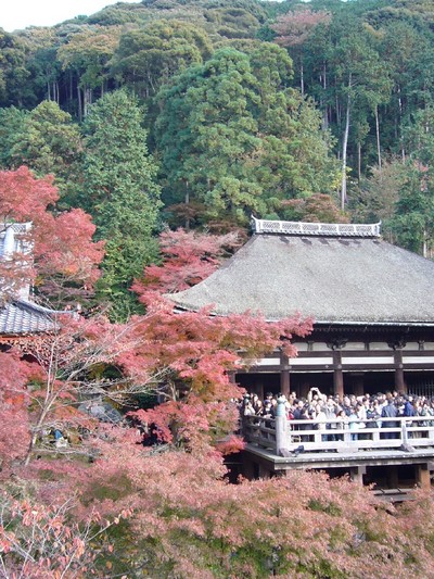 京都紅葉物語　Part3