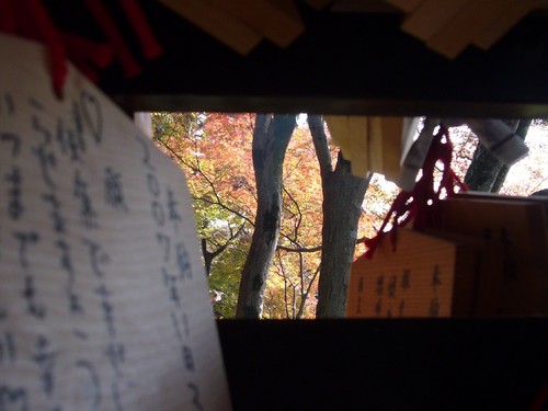 京都紅葉物語