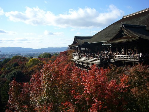 京都紅葉物語