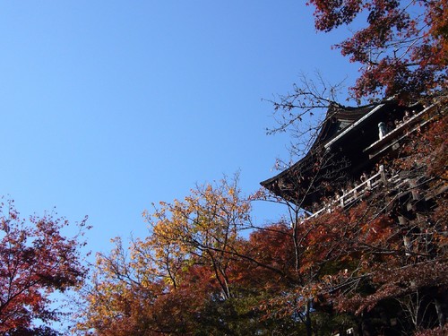 京都紅葉物語