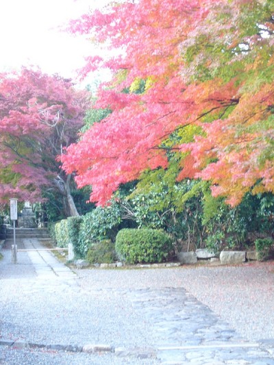 京都紅葉物語　Part3