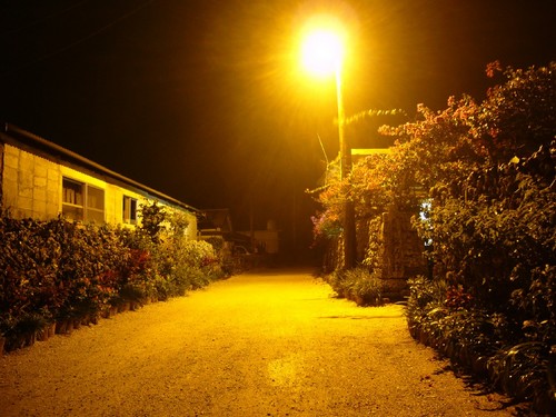 Tadarinの記憶 竹富島の夜