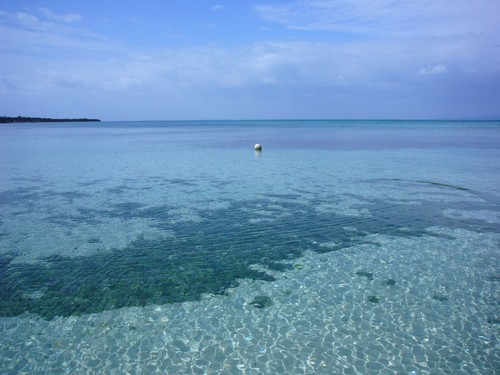 竹富島の心配事