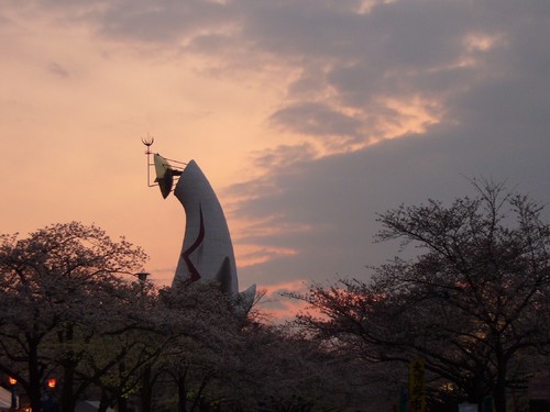 夜桜