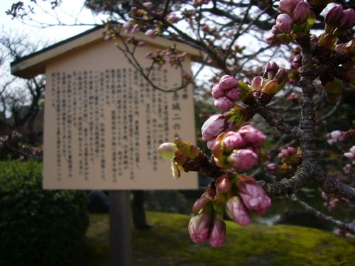 京都散策前半