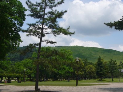 大和路の旅　（後半）