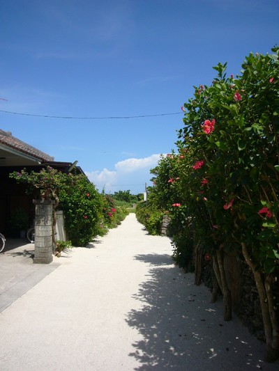 田舎