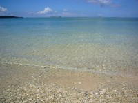 手術 2009/03/31 04:00:00