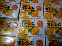 スイカの故郷へ
