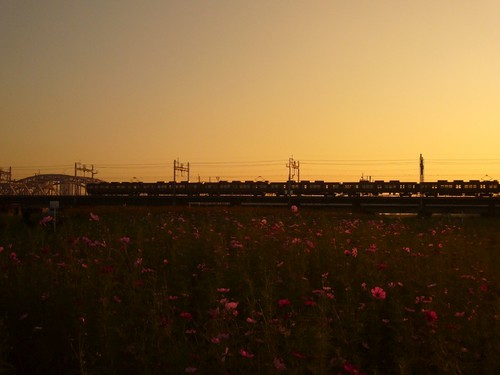 淀川の夕暮れ