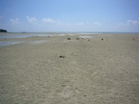 歯 2009/01/22 05:02:00