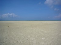 迎春 2009/01/03 05:01:00
