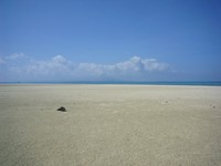 元気 2009/02/25 04:56:00
