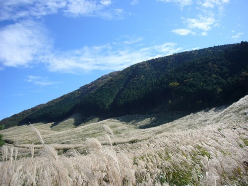 富士山とススキと富士屋