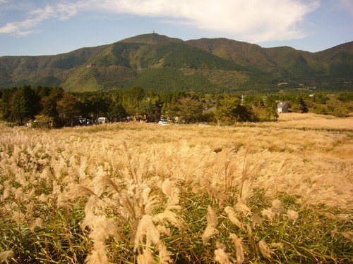 富士山とススキと富士屋