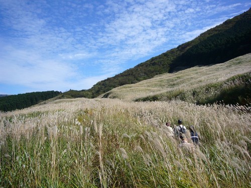 富士山とススキと富士屋