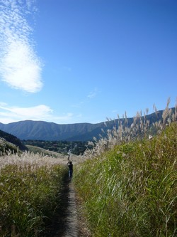 富士山とススキと富士屋