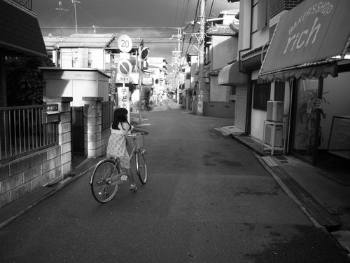 お散歩
