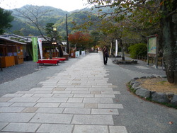 京都　嵐山　秋の風物詩　紅葉狩り　散策　＆食べ歩き