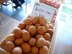 那覇市カフェ　CAFE　隠れ家　やんばる野菜カフェたましだ