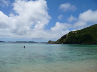 海の生物　渡嘉敷島の海　とかしくビーチ　近海　磯　