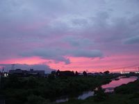 真っ赤っか！