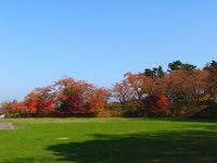 紅葉