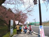 お花見オフ会 2006/05/01 06:52:04