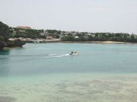 珊瑚の海