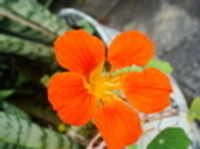 雨天決行その2 2006/05/28 23:14:13