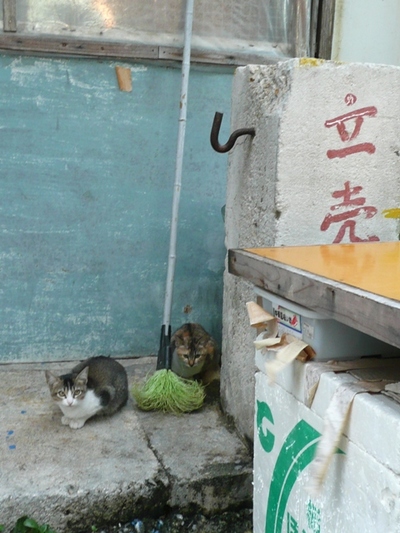 農連市場にて