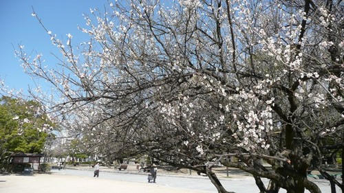 平和公園にて