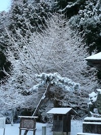 謹賀新年