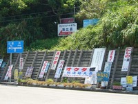 なぜか浜比嘉島にて