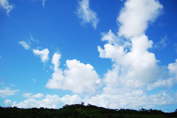 本日の空