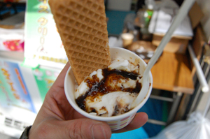 おきなわ花と食のフェスティバル2009