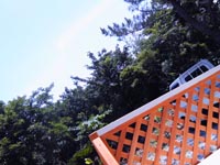 もう梅雨明け？