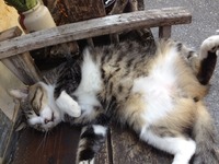 月末の週の真ん中水曜日 2012/10/31 09:52:53