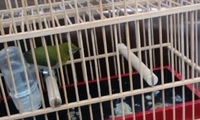 まじでぇ～～～！・・・・ 2011/07/15 03:56:34